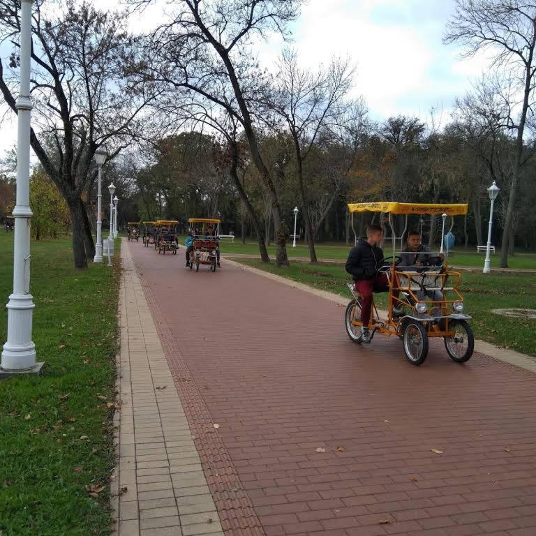 Apartman Buba Palic Exterior photo
